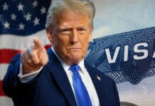 Es oficial Texas, California, Nuevo México y Arizona permitirán en junio el ingreso legal y automático sin pasaporte ni visa americana a quienes presenten este documento