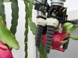 Dos jóvenes construyeron un robot barato que hace una tarea que ni todos los agricultores pueden automatizar