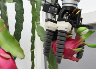 Dos jóvenes construyeron un robot barato que hace una tarea que ni todos los agricultores pueden automatizar
