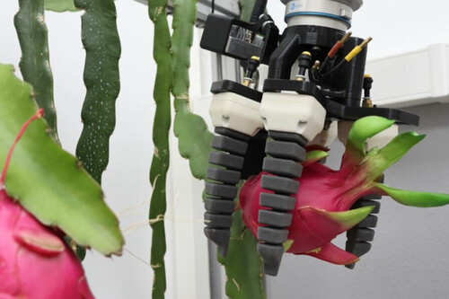 Dos jóvenes construyeron un robot barato que hace una tarea que ni todos los agricultores pueden automatizar