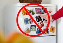 La regla de oro si se va la luz: no abras el refrigerador. La ciencia explica por qué y cuánto duran los alimentos