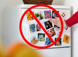 La regla de oro si se va la luz: no abras el refrigerador. La ciencia explica por qué y cuánto duran los alimentos