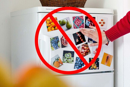 La regla de oro si se va la luz: no abras el refrigerador. La ciencia explica por qué y cuánto duran los alimentos