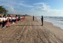 Fortalece Tamaulipas educación ambiental mediante liberación de crías de tortuga lora