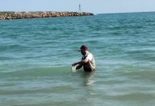 Playas de Tamaulipas, aptas y seguras para recibir a turistas en el verano 2026