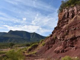 Descubre Ciudad Victoria; hay naturaleza, cultura, y gastronomía