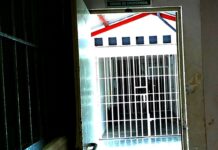 Arrestan a escandaloso sujeto por molestar a las personas