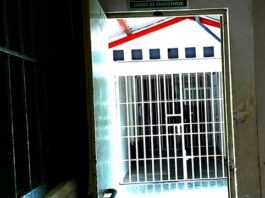 Arrestan a escandaloso sujeto por molestar a las personas