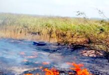 Bomberos sofocan incendio en pastizal con llantas