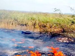 Bomberos sofocan incendio en pastizal con llantas