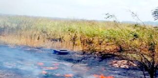Bomberos sofocan incendio en pastizal con llantas