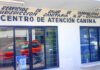 Alerta Centro Antirrábico de Reynosa por proliferación de garrapatas ante ola de calor