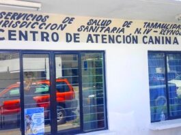 Alerta Centro Antirrábico de Reynosa por proliferación de garrapatas ante ola de calor
