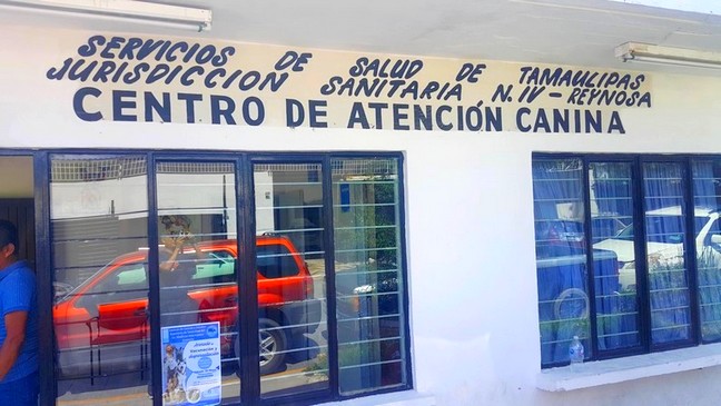 Calor afecta a animales domésticos previenen por acumulación de bichos
