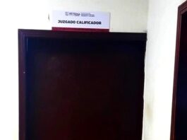 Detienen a sujeto por alterar el orden público