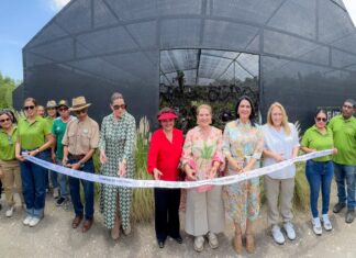 Mónica Villarreal inaugura el Bromeliario y fortalece la oferta turística y ambiental de Tampico