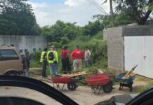 Trabajador del municipio fue atacado por enjambre de abejas