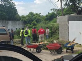 Trabajador del municipio fue atacado por enjambre de abejas