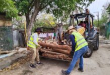 Consolida Mónica Villarreal estrategia de limpieza y prevención con 284 jornadas en las colonias