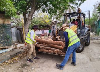 Consolida Mónica Villarreal estrategia de limpieza y prevención con 284 jornadas en las colonias