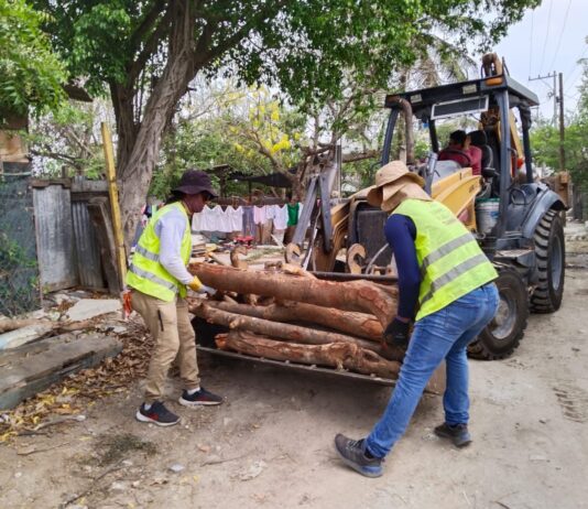 Consolida Mónica Villarreal estrategia de limpieza y prevención con 284 jornadas en las colonias