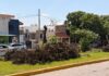 Sin autorización ambiental CFE realizó poda de árboles en avenida Las Torres señala Ecología