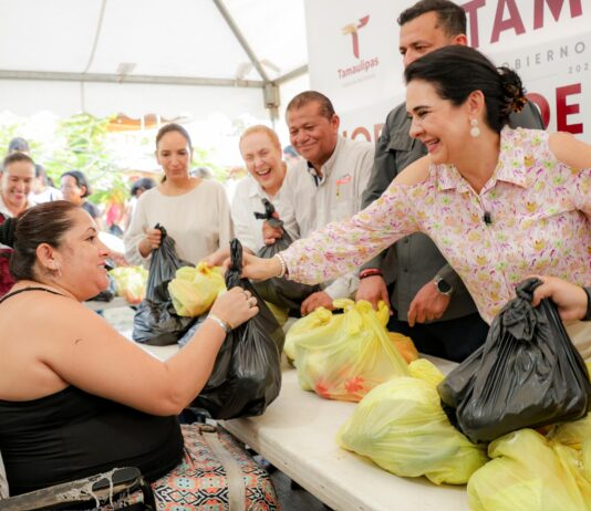 Acerca Mónica Villarreal servicios y programas a familias de la Borreguera