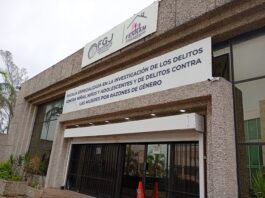 Adolescente pierde la vida mientras estaba en curso de verano; su madre exige justicia