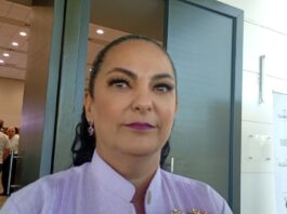 Se busca homologar las penas contra el feminicidio y se impulsan la imprescriptibilidad en México: Olga Sosa