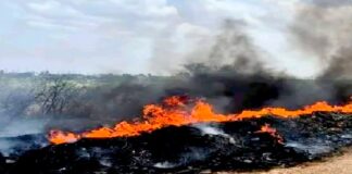 Incendio en pastizal con llantas deja daños y contaminación