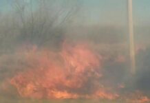 Movilizan unidades de emergencia tras incendio cercas de una gasera