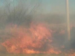 Movilizan unidades de emergencia tras incendio cercas de una gasera