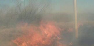 Movilizan unidades de emergencia tras incendio cercas de una gasera