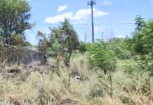 Queman pastizal deja daños materiales y contaminación ambiental
