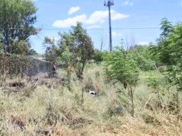 Queman pastizal deja daños materiales y contaminación ambiental