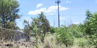 Queman pastizal deja daños materiales y contaminación ambiental