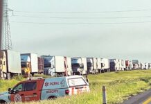 Capacitarán mediante inteligencia artificial a conductores de carga para que hablen inglés