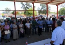Fortalecen sector rural con entrega de semilla de sorgo y maíz