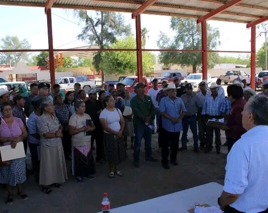 Fortalecen sector rural con entrega de semilla de sorgo y maíz