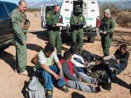 Política antiinmigrante de EU desploma la liberación de indocumentados, informan DHS y BP