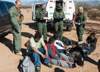 Política antiinmigrante de EU desploma la liberación de indocumentados, informan DHS y BP