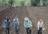 “Los campesinos no existimos para el gobierno”, acusa dirigente campesino