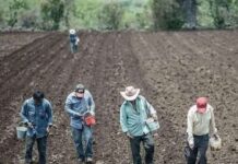 “Los campesinos no existimos para el gobierno”, acusa dirigente campesino