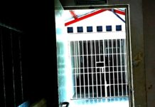 Arrestan a sujeto por violencia intrafamiliar