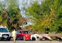 Chocan y dejan daños en la Narcizo Mendoza