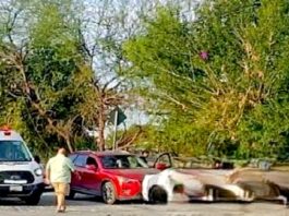 Chocan y dejan daños en la Narcizo Mendoza