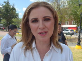 “Defenderemos en el Senado el derecho a la información”, dice senadora de Tamaulipas