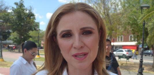 “Defenderemos en el Senado el derecho a la información”, dice senadora de Tamaulipas