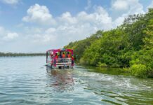 Más de 392 mdp de derrama económica ha dejado el turismo en Tampico