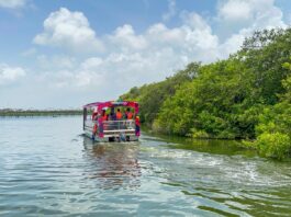 Más de 392 mdp de derrama económica ha dejado el turismo en Tampico